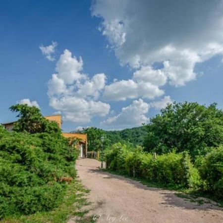 Gite Du Mont Plaisir Vila Chouvigny Exterior foto